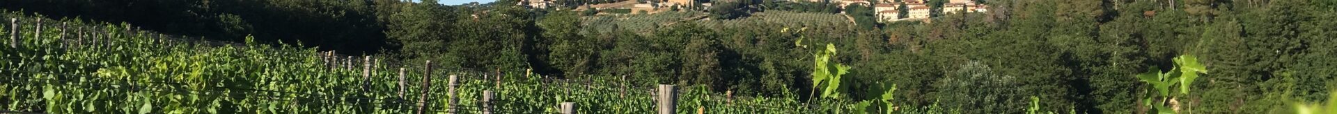 “Toscana bella e buona”: su intoscana.it i podcast sull’agroalimentare