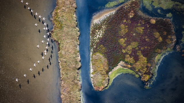 Toscana Rinascimento senza fine bellezza oltre il limite 2020-09-03 © Massimo Sestini AP0I2248