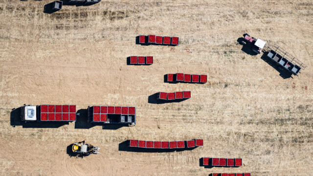 Toscana Rinascimento senza fine bellezza oltre il limite 2020-09-03 © Massimo Sestini AP0I1794