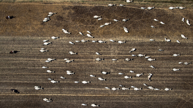 Toscana Rinascimento senza fine bellezza oltre il limite 2020-09-03 © Massimo Sestini AP0I2129